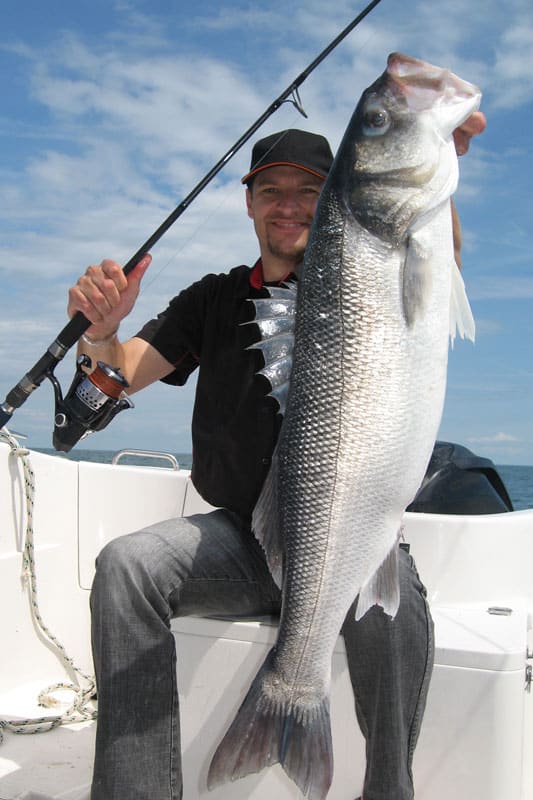 Photo of fisherman with sea bass