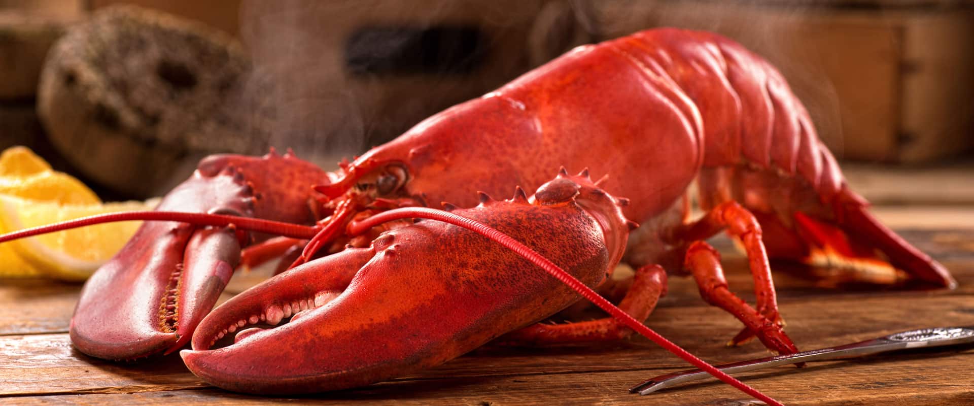 Photo of Lobster Dinner