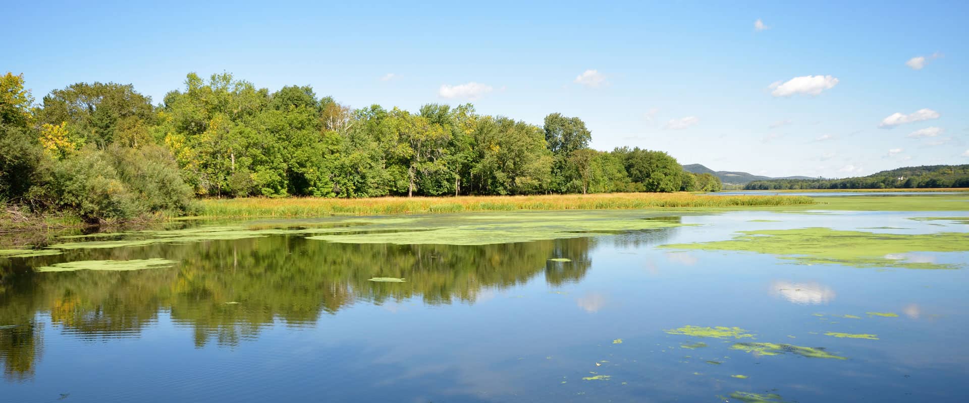 Hampton Happenings Freedom Tours by Maritime Travel