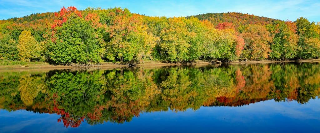 Photo of fall foliage on the Kennebecasis River