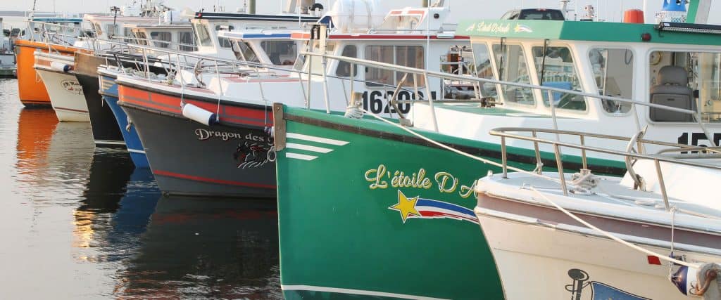 Fishing Boats in Albert County