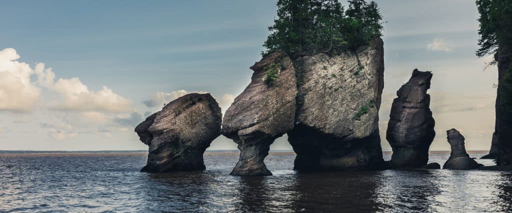 Hopewell Rocks High Tide