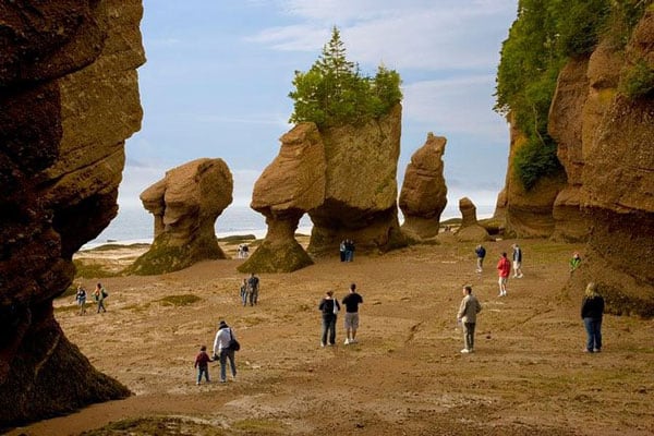 Hopewell Rocks at Low Tide